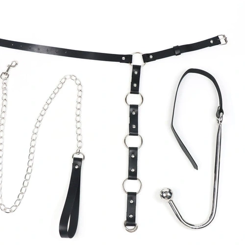 and Leash Hook with Anal EverydayUse 5853 Collar Kinky 0317